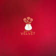 プログラムのアイコン：VelVet