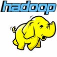 Icona del programma: Apache Hadoop