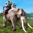 Wild Animals Online Safari 3D icon