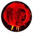 Programikonen: Nuke Tab