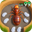 プログラムのアイコン：Ant Kingdom: Survival War