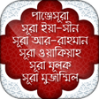 程序图标：পঞজসর - পঞজগন