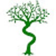 Icon of program: ScratchRemixTree