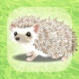 프로그램 아이콘: Hedgehog Pet