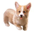 Иконка программы: Self-Management Assistant