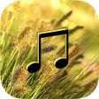 Wind Sounds - Wind MusicRelaxing and Sleep.