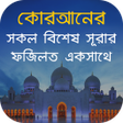 程序图标：সকল বিশেষ সূরার ফজিলত একস…