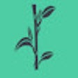 Icoon van programma: Beanstalk Extension
