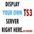 Programikonen: Custom Teamspeak 3 Displa…
