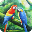 プログラムのアイコン：Bird Sounds and Ringtones
