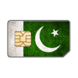Programikonen: SIMs Checker