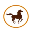 程序图标：BPMG Mobile App