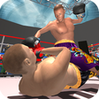 プログラムのアイコン：Ninja Fighter Punch Boxin…