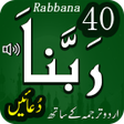 Иконка программы: 40 Rabbana duas -from Qur…