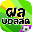 ไอคอนของโปรแกรม: ผลบอลสด - Livescore
