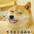 程序图标：王者表情包-制作斗图表情包