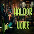 Haldor Voice