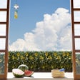 أيقونة البرنامج: 脱出ゲーム あの夏のあの日をもう一度