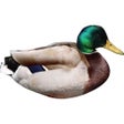 أيقونة البرنامج: DuckyDuck - Ducky Bhai In…