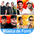 أيقونة البرنامج: Música de Forró sem inter…
