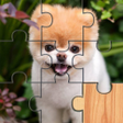 أيقونة البرنامج: Dogs Puzzle - Kids  Adult…