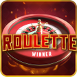 Symbol des Programms: Routtle Winner