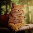 Programikon: Cat Wallpapers HD