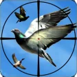 Иконка программы: Flying Birds Hunting Game…