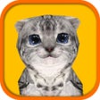 Icoon van programma: Cat Simulator HD