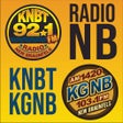 程序图标：RadioNB