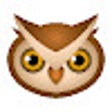 Icon of program: Duolingo2Anki