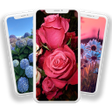 Programikonen: Flower Wallpaper