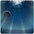 Icon of program: Jellyfish 3D LiveWallpape…