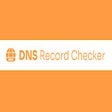 DNS Record Checker