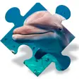 Free Dolphin Jigsaw Puzzles