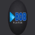 Icon of program: BOB Player: PREMIUM