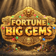 Programın simgesi: Fortune Big Gems - Rush