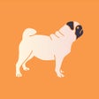 ไอคอนของโปรแกรม: SMS Filter for Doge