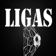 Programikonen: LIGAS