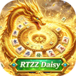 프로그램 아이콘: RTZZDaisy