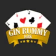 Gin Rummy Card Game Dark