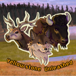 Icon of program: Coyote Yellowstone Unleas…