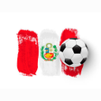 Icon of program: FUTBOL PERUANO EN VIVO