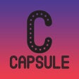 Ikon program: Capsule Clothing Store