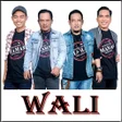 Programikonen: 50 Lagu Populer Wali Band