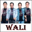 50 Lagu Populer Wali Band