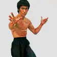 Martial Arts - Skill in Techniques