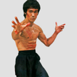 プログラムのアイコン：Martial Arts - Skill in T…