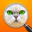 Ícone do programa: Guess the Pic  Close up P…