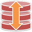 プログラムのアイコン：Local Storage Manager